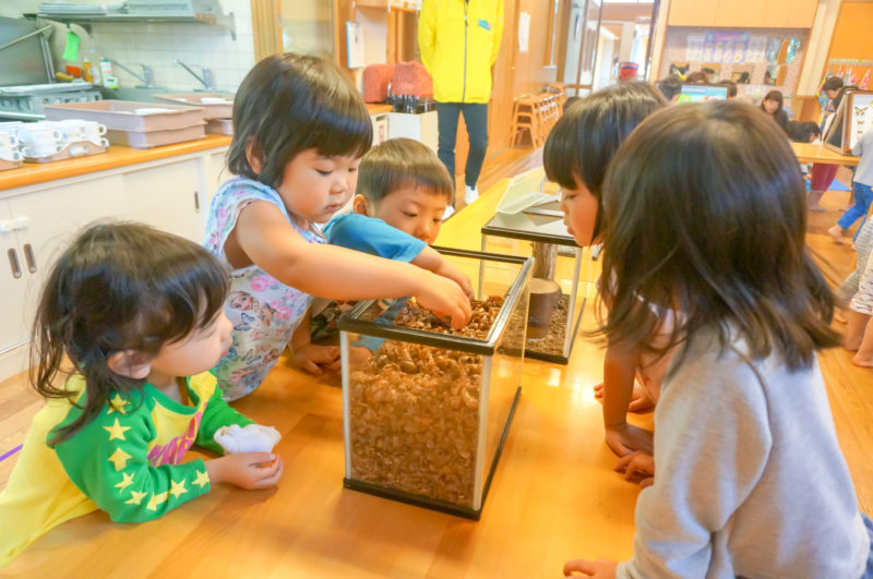 写真：おじゃま虫キャラバン