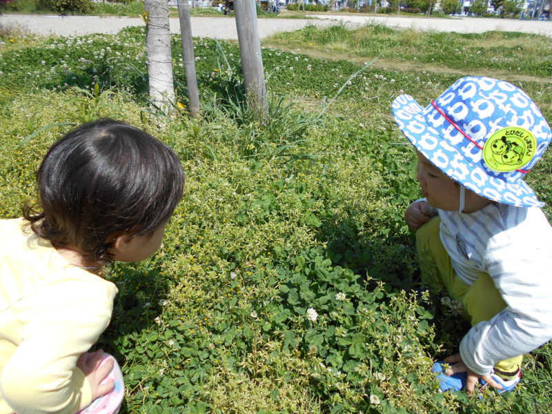 写真：さんぽ